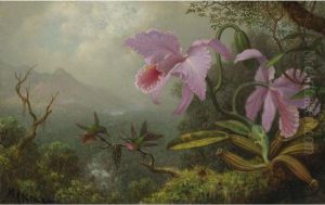 Two Sun Angel Hummingbirds On A Branch Near Two Orchids by Martin Johnson Heade