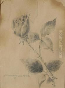 Floral Studies by Martin Johnson Heade