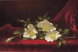 Still Life With Cherokee Roses by Martin Johnson Heade