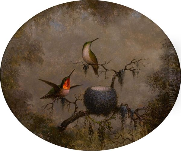 Hummingbirds And Their Nest - view 1