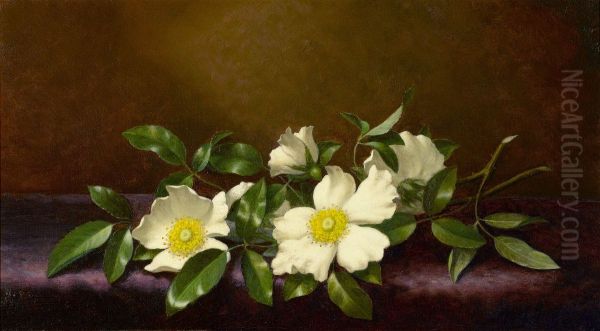 Cherokee Roses On A Purple Cloth - view 1