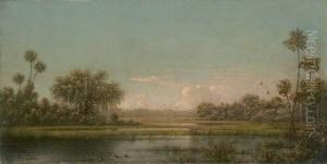 View On The St. John's With Palm Trees by Martin Johnson Heade