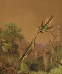 Brazlilian Hummingbirds Iv by Martin Johnson Heade