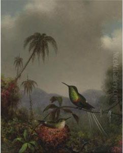 Two "thorn-tails" (langsdorffs Thorn-tail, Brazil) by Martin Johnson Heade