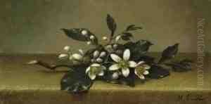 Branch Of Orange Blossoms by Martin Johnson Heade