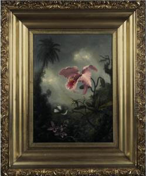 Two Hummingbirds, Two Types Of Orchids And A Palm Tree - view 1