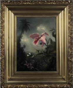 Two Hummingbirds, Two Types Of Orchids And A Palm Tree by Martin Johnson Heade