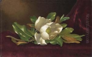 Single Magnolia On Red Velvet by Martin Johnson Heade