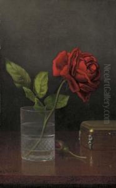 Queen Of Roses - view 1