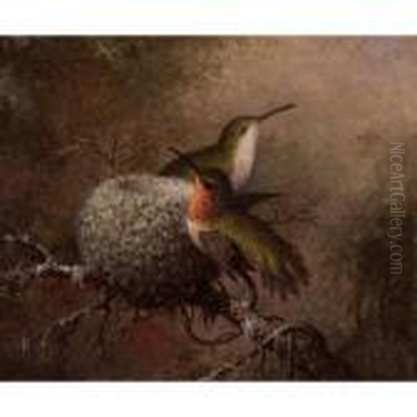 Two Ruby Throats By Their Nest - view 1