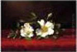 Two Cherokee Roses On Red Velvet by Martin Johnson Heade