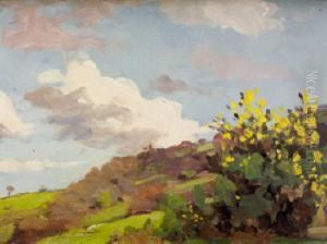 Gorse Bushes Gorse Bushes