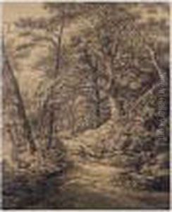A Man Seated On A Fallen Branch On A Woodland Path