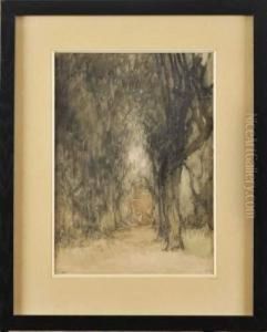Une Allee D'arbres