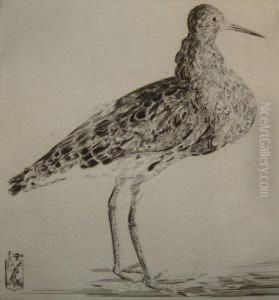 Becassine by Joseph Hecht