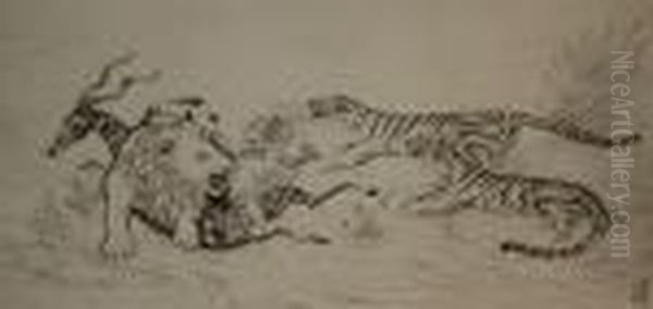 Lion, Antilope Et Tigres - view 1
