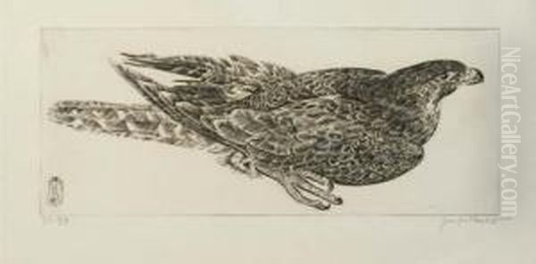 Rapace - view 1