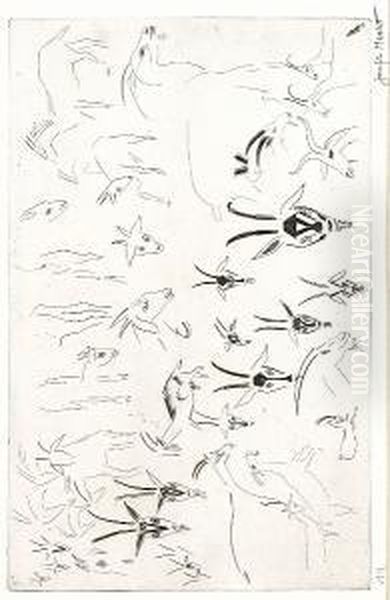 Impala Studies - view 1