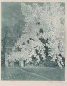 Bluhender Baum Bluhender Baum