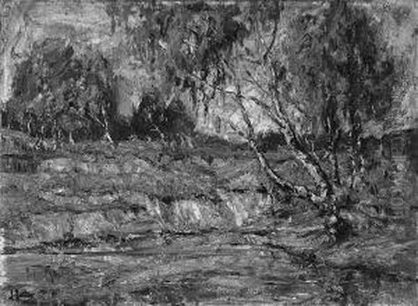 "landschaft Mit Birken". Sign., Rucks. Bez. Ol Auf Lwd. 77 X 105 Cm - view 1