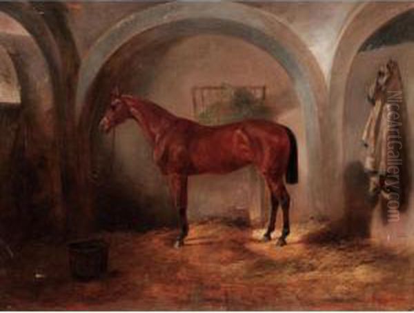 A Bay Hunter In A Stable - view 1