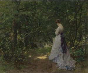 Woodland Stroll Woodland Stroll