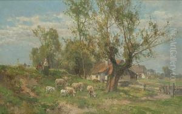 Sheep Grazing By A Cottage - view 1