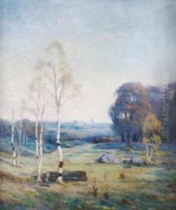 Duluth Landscape With St. Scholastica College
