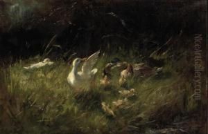 Ducks And Ducklings In The Grass by Fransiscus Willem Helfferich