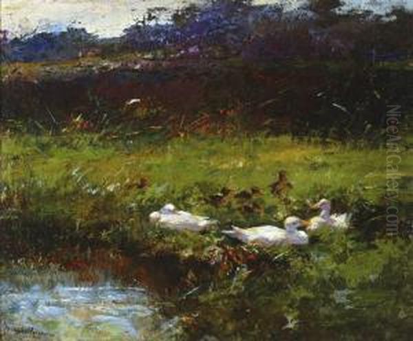 Ducks On A Bank - view 1