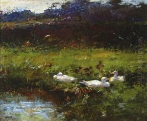 Ducks On A Bank