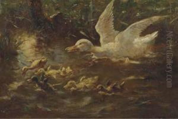 Flying Lessons From Mother - view 1