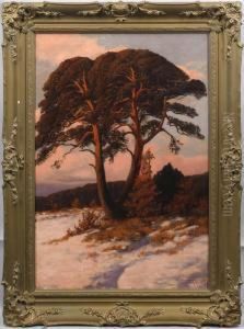 Markische Landschaft Mit Kiefer Im Abendrot by Rudolf Hellgrewe