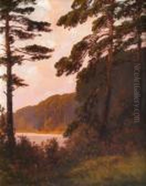 Markische Seelandschaft Im Abendrot - view 1