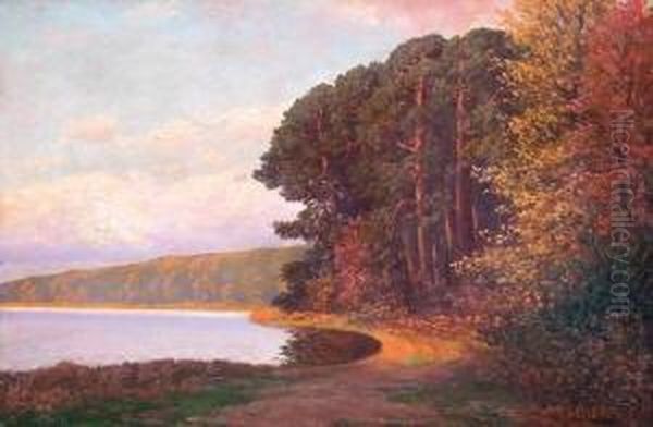 Baumbestandene Markische Seenlandschaft Bei Sommerlichem Sonnenuntergang - view 1
