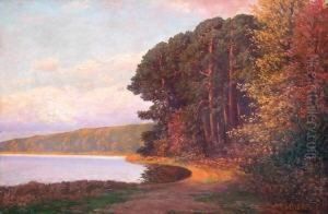 Baumbestandene Markische Seenlandschaft Bei Sommerlichem Sonnenuntergang