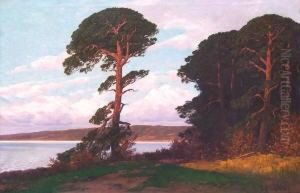 Baumbestandene Markische 
Uferlandschaft Mit Wetter Gezeichneter Einzelner Kiefer Im Abendrot
