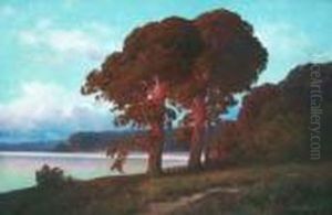 Markische Seenlandschaft Mit Rotlich Leuchtenden Kiefern Im Abendlicht