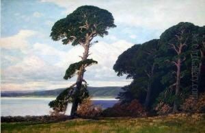Kiefern Am Markischen See by Rudolf Hellgrewe
