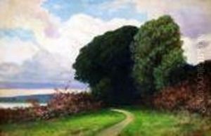 Landschaft Mit Uferweg Und Hohen Baumen Landschaft Mit Uferweg Und Hohen Baumen