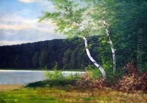 Uferlandschaft Mit Birken