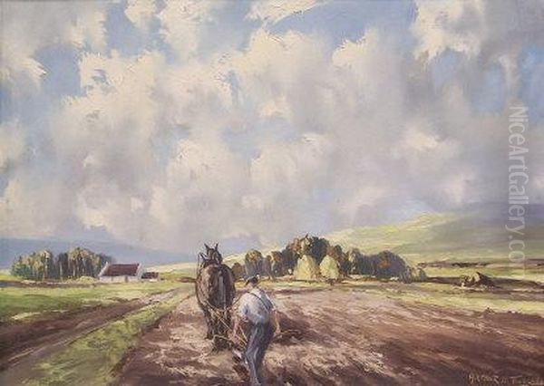 Ploughing The Field - view 1