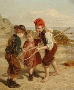 The Little Shrimpers