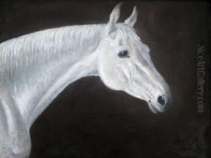Head Of A Grey Horse by Charles Cooper Henderson