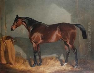 A Chestnut Hunter In A Stable