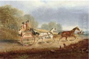 A Trot Through The Countryside