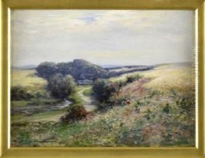 Summer Flowers by John Henderson