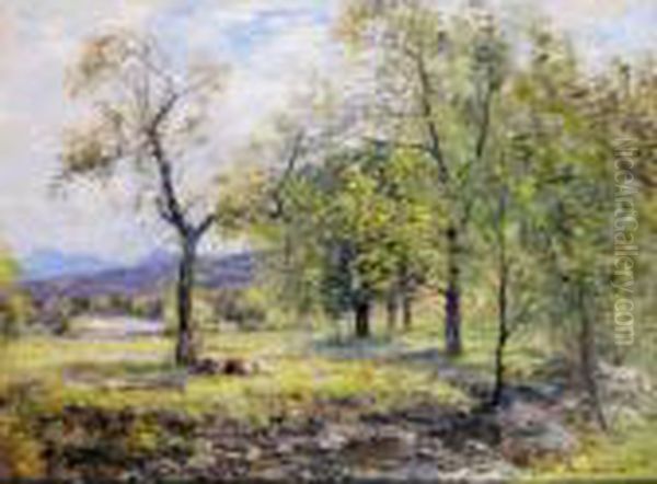 Summer Shade - view 1
