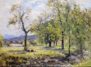 Summer Shade by John Henderson