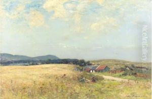 In The Hayfields
